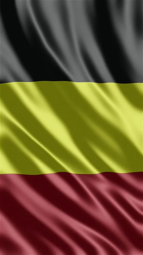 Belgium waving flag Stock-Footage 288004056