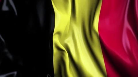 Belgium WAVING FLAG Stock Footage 321015782