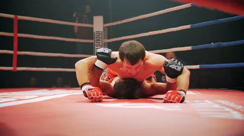 Belgorod, Russia - Athletes in the ring mixed martial arts Stock-Footage 69033621