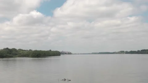 Belgrade: confluence between Danube and Sava rivers. Stock Footage 154760146