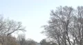Belgrade Fortress and Kalemegdan Park in Serbia 4k or 4k+ Resolution