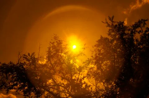 Belgrade in sunset Stock Photos
