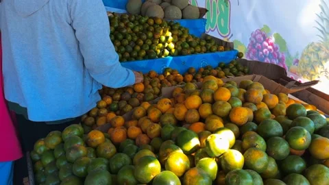 Beli jeruk Video stock 200839440