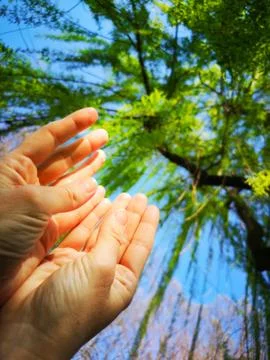 Believer hands background vertical Stock Photos