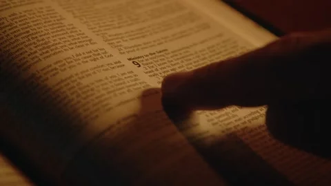Believer Reading Bible Stock Footage 279560520