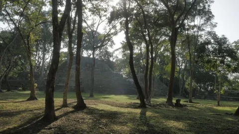 Belize 001 Stock Footage 88838447