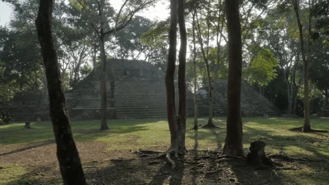 Belize 002 Stock Footage 88838457