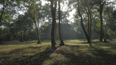 Belize 004 Stock Footage 88838471