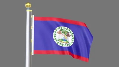 Belize Animated flag Closup Video stock 329105703