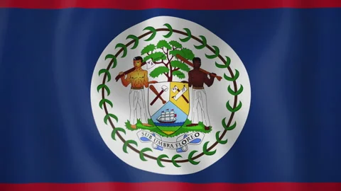 Belize animated flag. Seamless loop. 4K Video stock 145427008