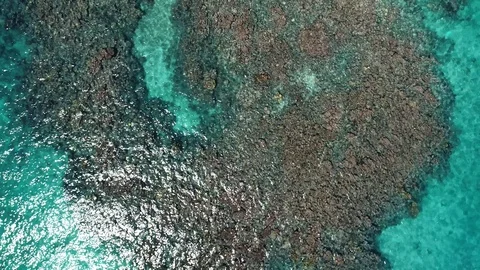 Belize-Barrier-Reef-5 Stock Footage 128903305