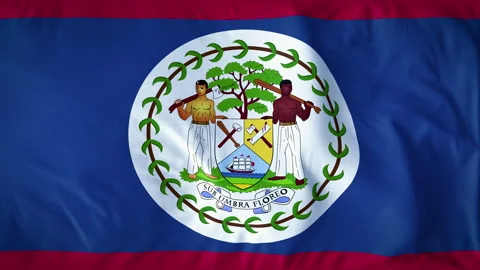 BELIZE COUNTRY FLAG Stock Footage 282298612