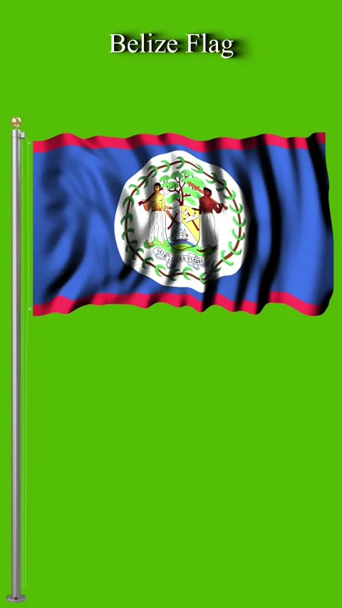 Belize Flag 4K Animation Emblem of Unity in Motion Stock-Footage 321551662