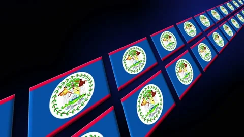 Belize Flag Animated Background 3d Animation Stock Footage 229001465