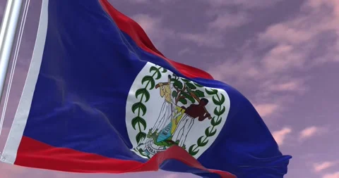 Belize Flag Animation Minimal Corporate Video Stock Footage 341246538