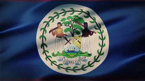 Belize Flag Background Stock Footage 341238127