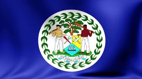 Belize Flag. Background Seamless Looping Animation. 4K High Definition Video Stock Footage 71673891