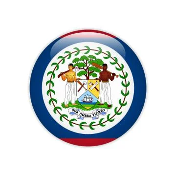 Belize flag on button Stock Illustration