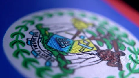 Belize Flag Coat Of Arms Fabric Detail Stock Footage 329355416