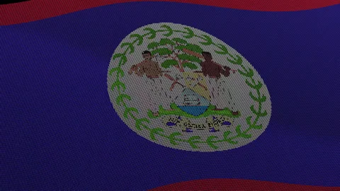 Belize Flag Digital Particle Waving Seamless Loop Animation on Black Backgrou Stock Footage 339302217