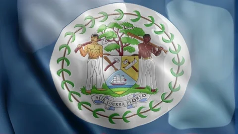 Belize Flag Stock Footage 133773002