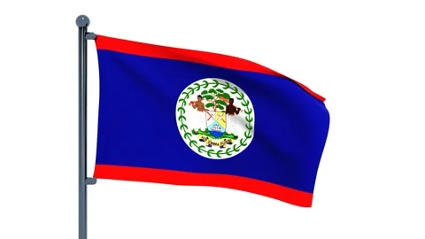 Belize Flag Video stock 150195893