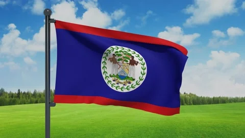 Belize Flag Stock Footage 151861930