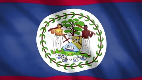 Belize Flag  Video stock 188099373