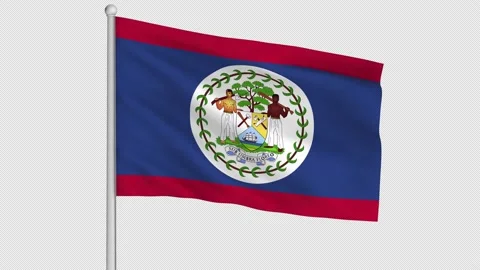 Belize Flag Stock-Footage 226983685