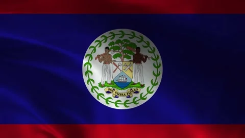 Belize Flag Stock Footage 336903290