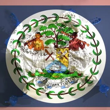 Belize flag liquid Stock Illustration