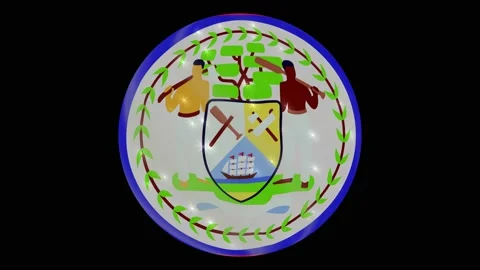 Belize flag in a round ball rotates. Flicker and shine. Animation loop Stock Footage 145857513