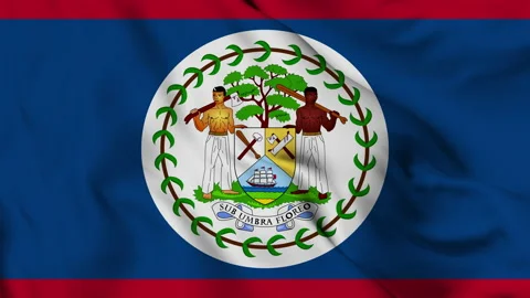 Belize flag seamless closeup waving animation Stock Footage 168168743