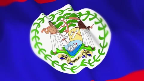 Belize Flag Seamless Loop 4k 60fps on Sky Background Stock Footage 340352883