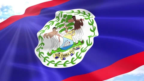 Belize Flag Seamless Loop 4k 60fps on Sky Background Stock Footage 341556309