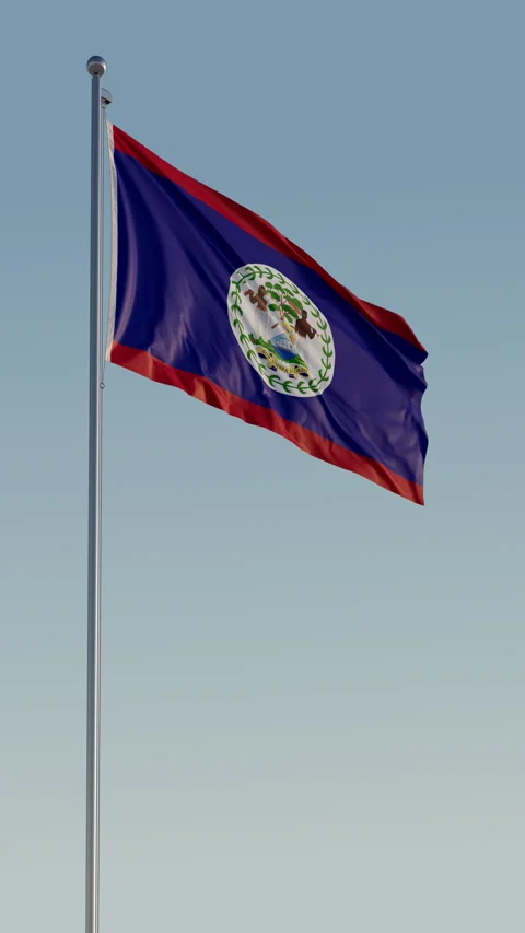 Belize Flag Seamless Loop Cinematic Realistic Waving Blue Sky 스톡 동영상 317499492