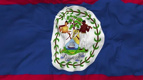 Belize Flag Seamless Looping Background Waving Slow Motion Stock Footage 233882265