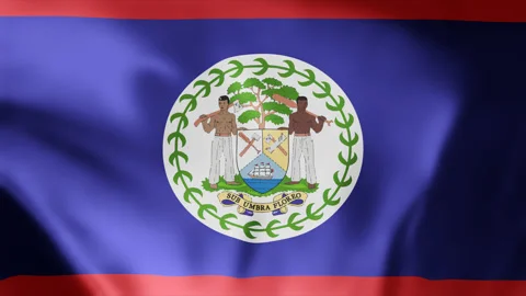 Belize flag is waving 3D animation. Flag seamless loop animation 4k Stock Footage 259982272