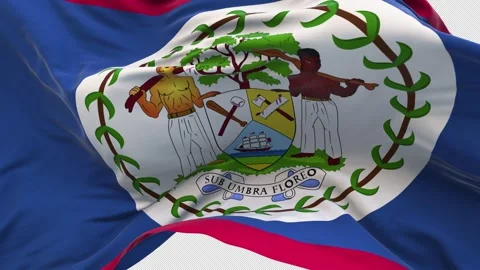 Belize flag waving and swirling 스톡 동영상 310611341