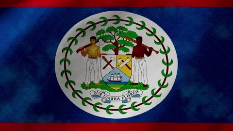 Belize flag waving background with real fabric texture 動画素材 291600486