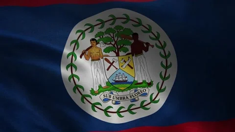 Belize flag waving closeup with coat of arms on blue fabric and red borders, se Stock Footage 339548045