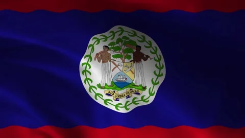 Belize flag waving fabric close up with coat of arms 库存影片 335560483