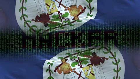 Belize flag - Waving flag on matrix binary code background Stock Footage 321419635