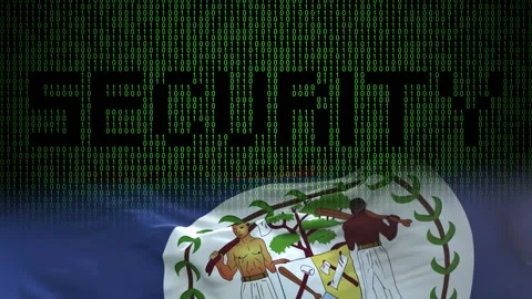 Belize flag - Waving flag on matrix binary code background Stock Footage 321422129