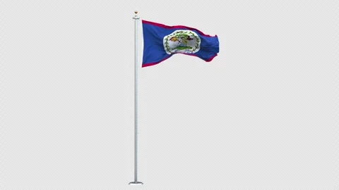 Belize flag waving looping with transparent background. 스톡 동영상 310611091