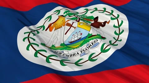 Belize flag waving. Seamless Video stock 48688780