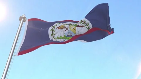 Belize Flag waving in the sky Stock Footage 341260712