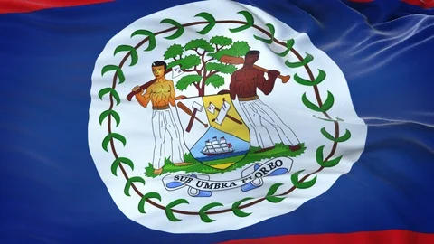 Belize flag waving in the wind with highly detailed fabric texture 動画素材 123248845