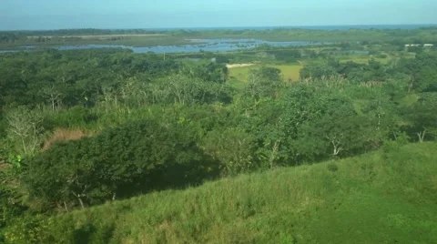 Belize Jungle Aerial Vidéo 66426847