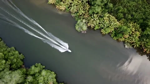 Belize jungle river Stock Footage 152451011